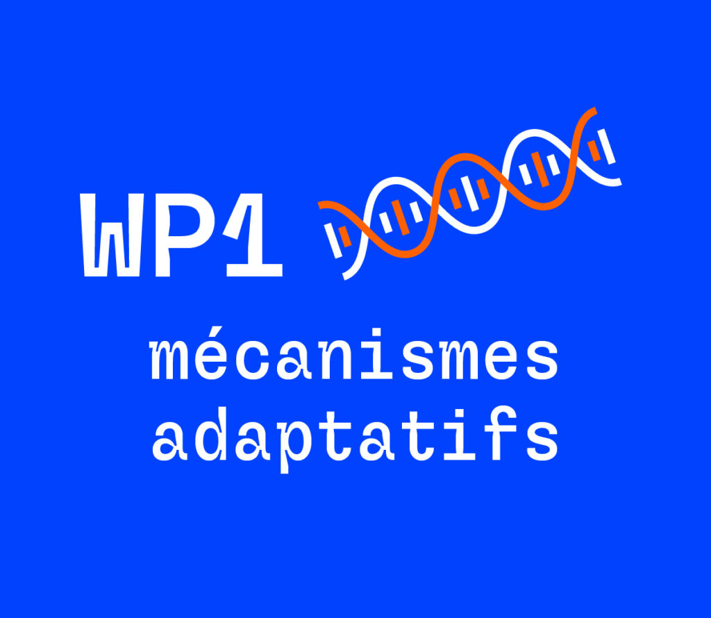 WP1 - Mécanismes adaptatifs