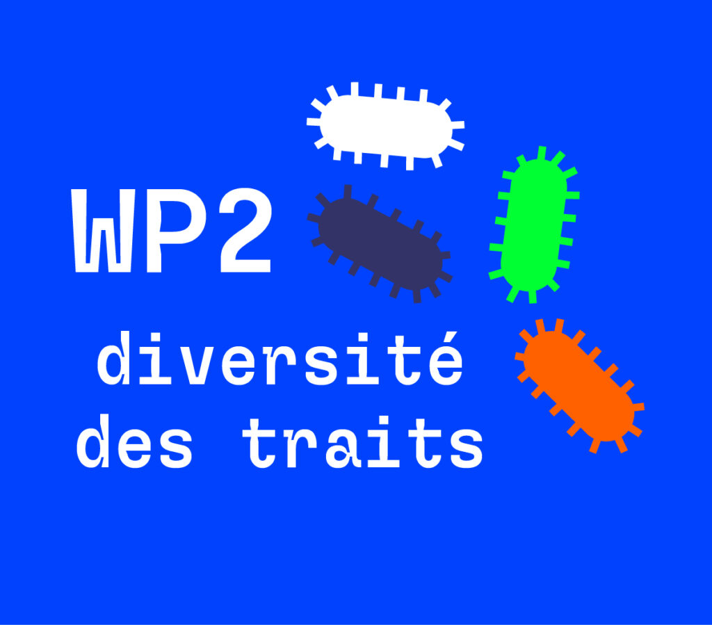 WP2 - Diversité des traits