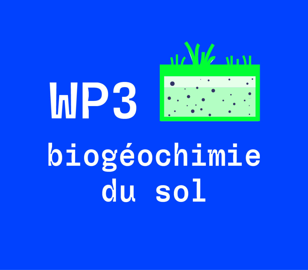 WP3 - Biogéochimie du sol