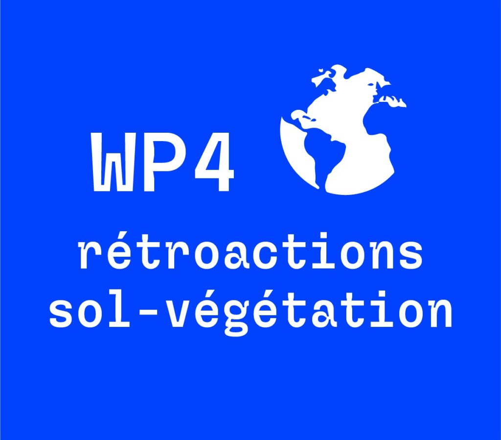 WP4 - Rétroactions sol-végétation